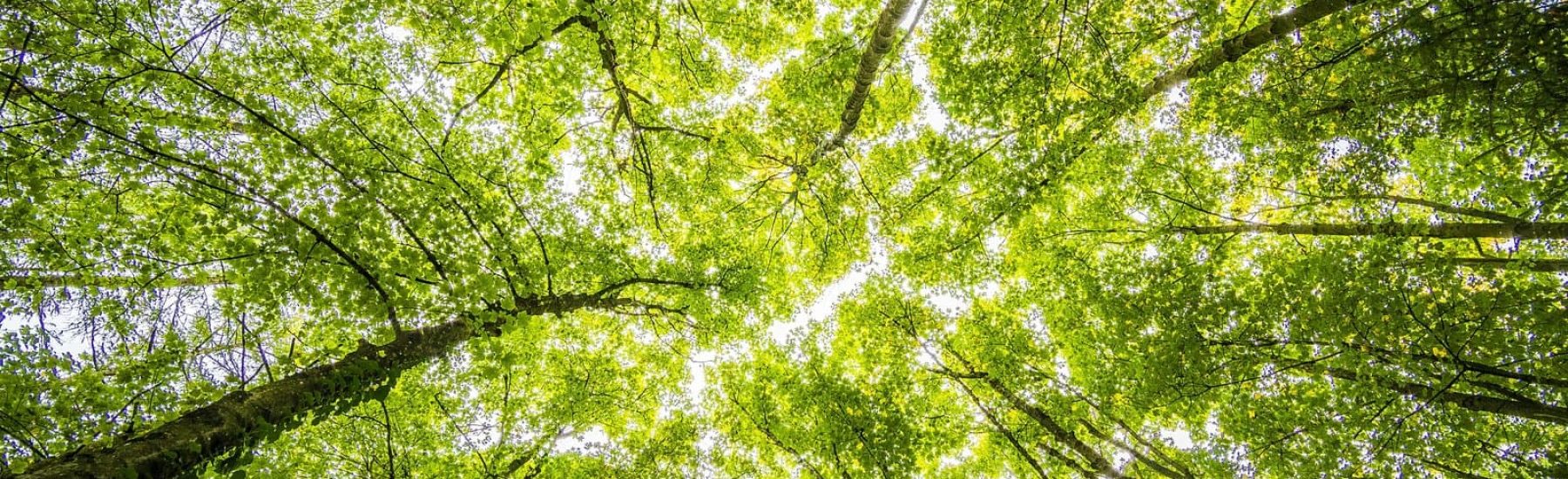 Topluma ve Çevreye Karşı Suçlar - Kayseri Ceza Avukatı - Kayseri Ağır Ceza Avukatı - Ceza Hukuku - Ağır Ceza Mahkemesi - Türk Ceza Kanunu - Kayseri Avukat Zülküf Arslan Hukuk Bürosu