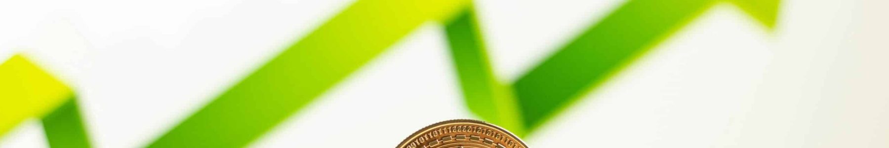 Alacağın Enflasyon Karşısında Değer Kaybına Uğramasından Kaynaklanan Aşkın Zarar / Munzam Zararın Tazmin Edilmesi - AYM Bireysel Başvuru Avukatı - Anayasa Mahkemesi Bireysel Başvuru Avukatı - Anayasa Mahkemesi Kararları - Kayseri Avukat Zülküf Arslan Hukuk Bürosu