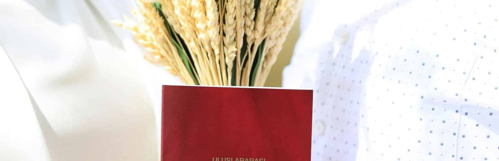 Kayseri Boşanma Avukatı - Anlaşmalı Boşanma Avukatı - Çekişmeli Boşanma Avukatı - Aile Hukuku - Mal Rejiminin Tasfiyesi - Ziynet Alacağı - Boşanma Davası - Türk Medeni Kanunu - Kayseri Avukat Zülküf Arslan Hukuk Bürosu